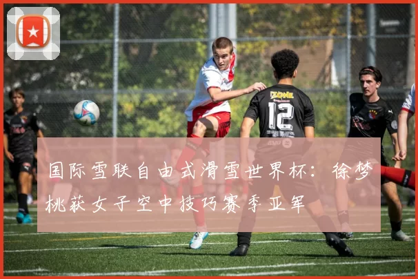 国际雪联自由式滑雪世界杯：徐梦桃获女子空中技巧赛季亚军