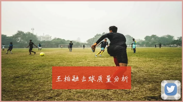 王柏融击球质量分析
