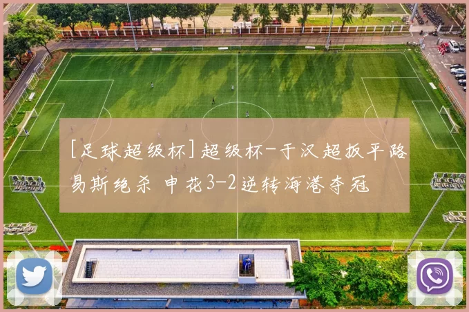 [足球超级杯]超级杯-于汉超扳平路易斯绝杀 申花3-2逆转海港夺冠